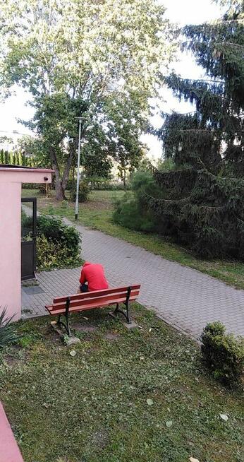 Mieszkanie do wynajmu