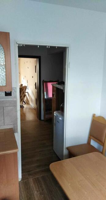 Mieszkanie do wynajmu