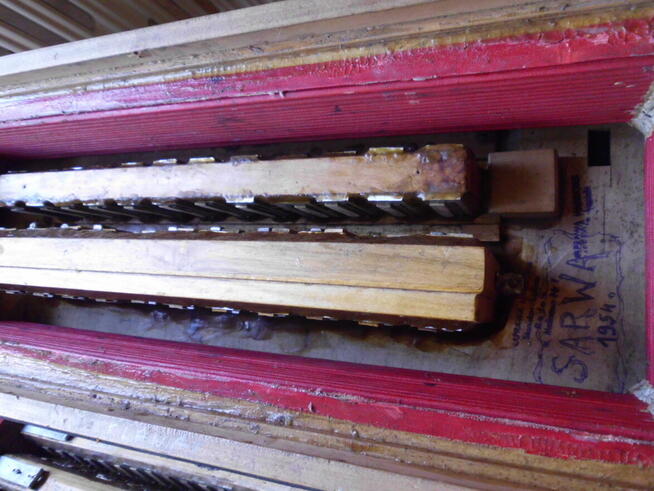 harmonia 3 rzędowa akordeon concertino 120 basów