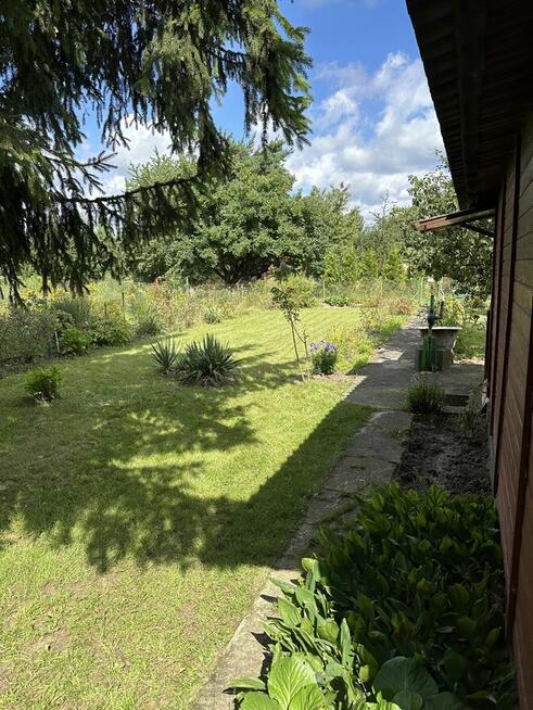 Sprzedam działkę ROD Sielanka