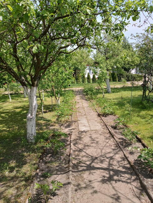 DZIAŁKA ROD - Sprzedam