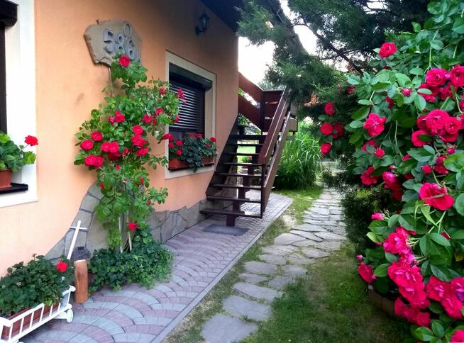 Agroturystyka Pod Jednym Dachem w Gorcach / Rabka-Zdrój