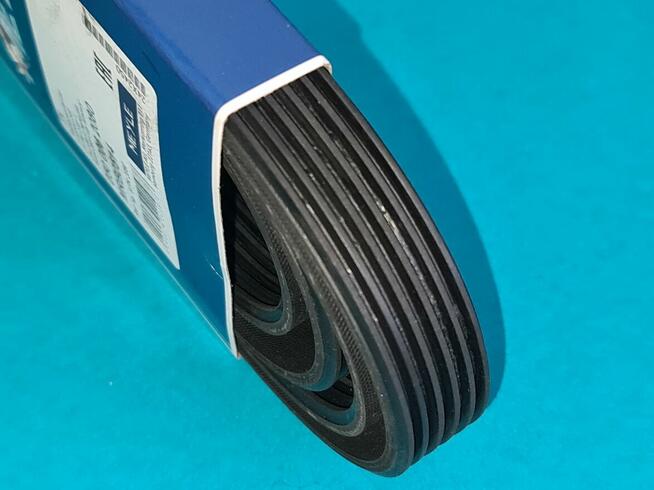 Bmw E46 FL Pasek Wielorowkowy