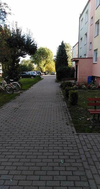 Mieszkanie do wynajmu