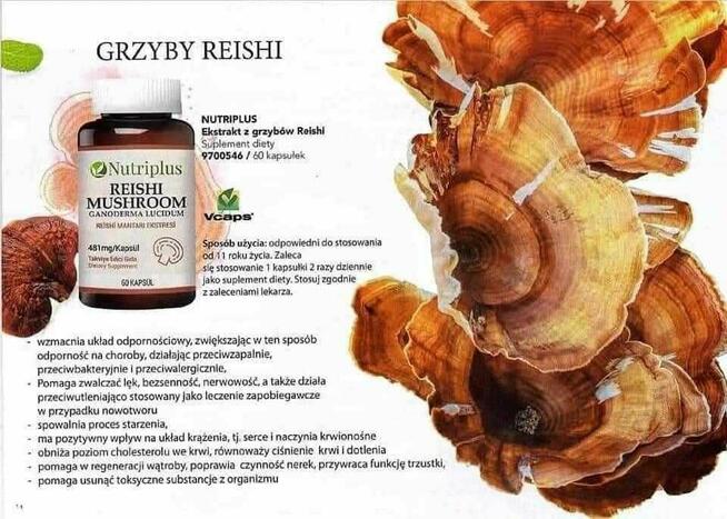 Piękno, zdrowie i dochód w jednym – dołącz do FARMASI!