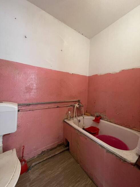 zielona okolica, nowe okna