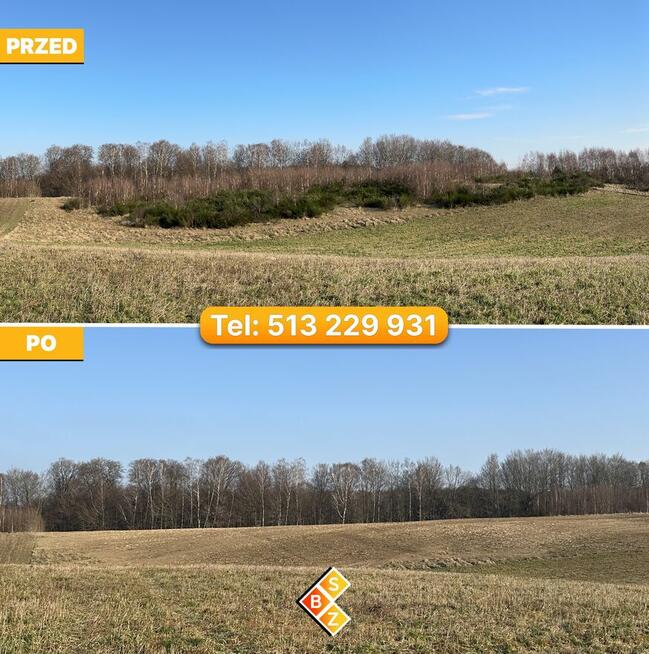 Porządkowanie Działek, Wycinka Drzew, Karczowanie, Mulczowan