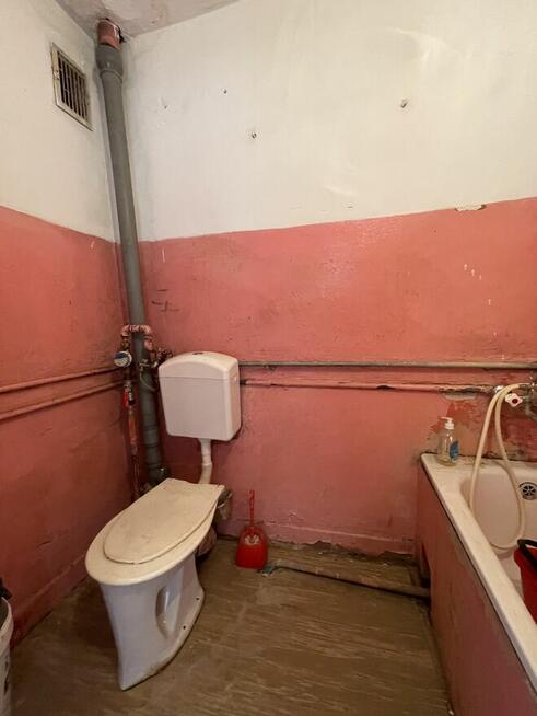 zielona okolica, nowe okna