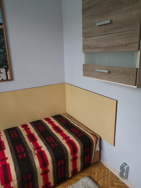 Pokój jednoosobowy do wynajęcia