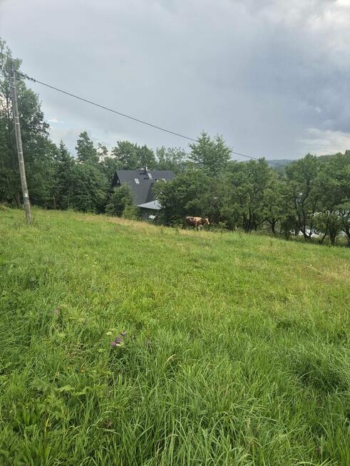 3 działki budowlane w Brzegach