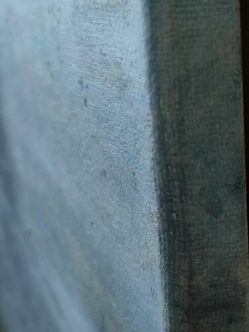 Udany Połów Mega Obraz Olejny zamalowane boki 40/50