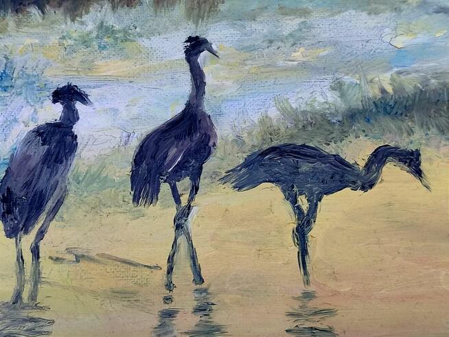 Czaple nad wodą olej na płótnie autorski 30/40