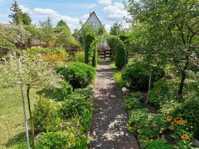 Działka ROD z domkiem