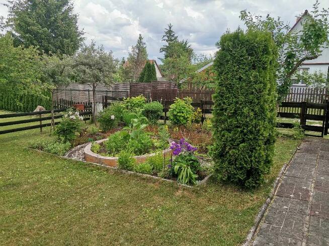 Działka ROD z domkiem