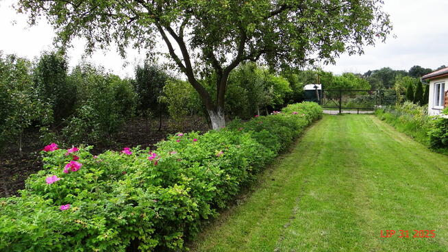 Piła Działka ROD 448m2 Różyckiego