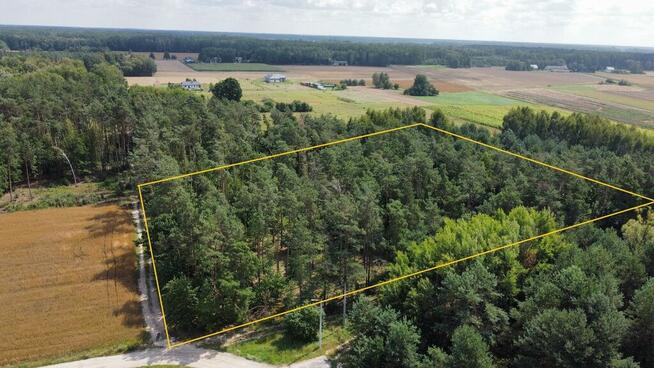 Działka leśno-budowlana 2,1 ha Zbuczyn Jana Pawła