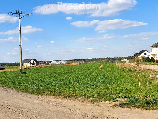 Działka budowlana w Daszewicach k. Poznania