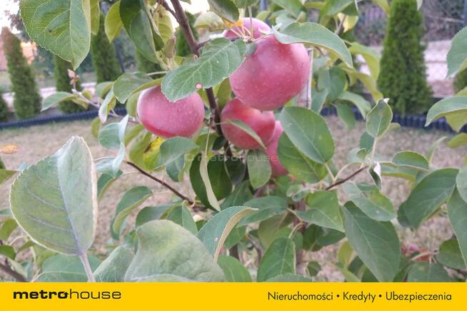 Jedna kondygnacja domu z własną działką