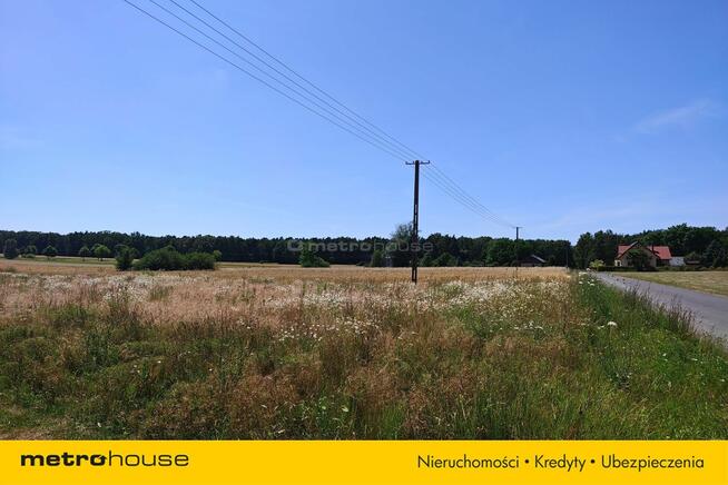 Działka na sprzedaż - Skęczniew