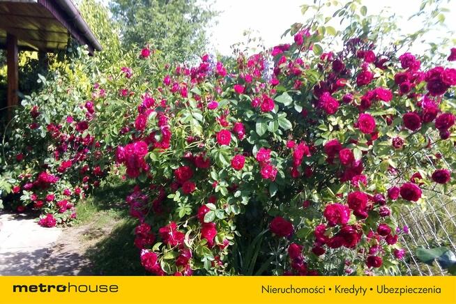 DZIAŁKA INWESTYCYJNA, REKREACYJNA, 5KM OD MORZA