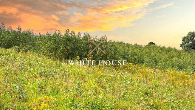 Dobra cena! Działka budowlana, dużo zieleni!