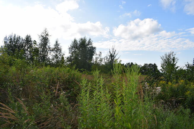 Działka rolna 27a - Hermanowa