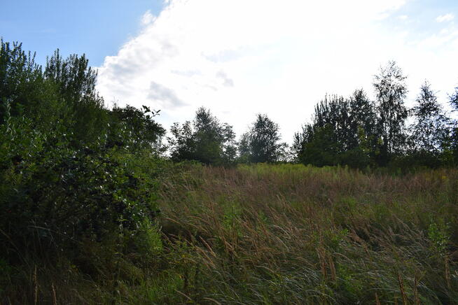 Działka rolna 27a - Hermanowa