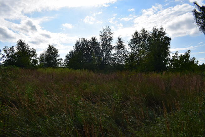 Działka rolna 27a - Hermanowa