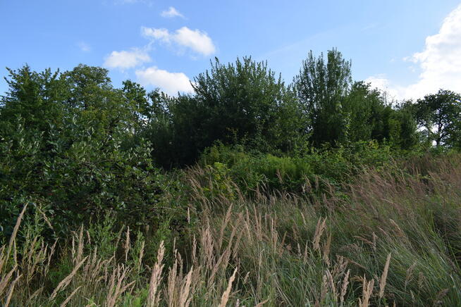 Działka rolna 27a - Hermanowa