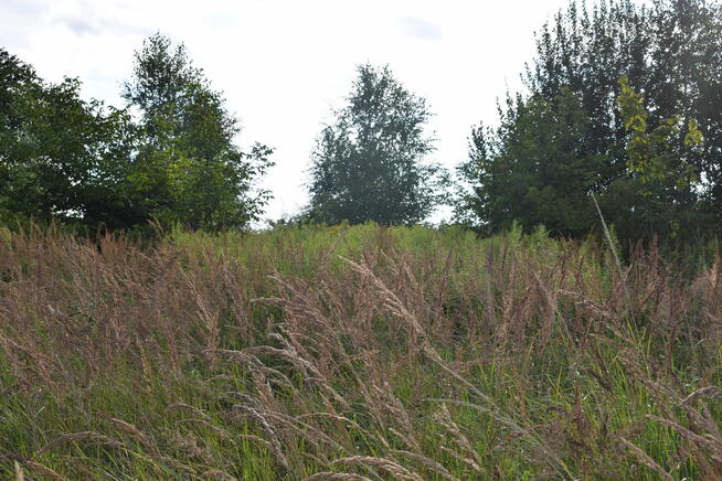 Działka rolna 27a - Hermanowa