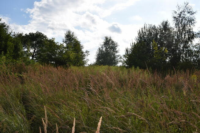 Działka rolna 27a - Hermanowa