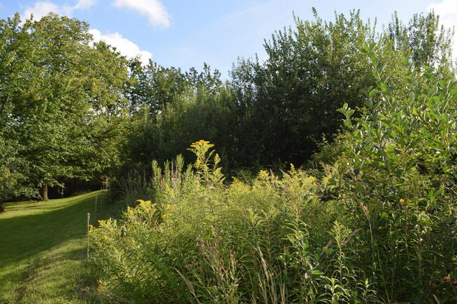 Działka rolna 27a - Hermanowa