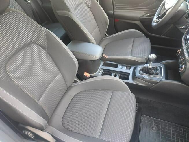 Ford Focus Salon Polska fv23