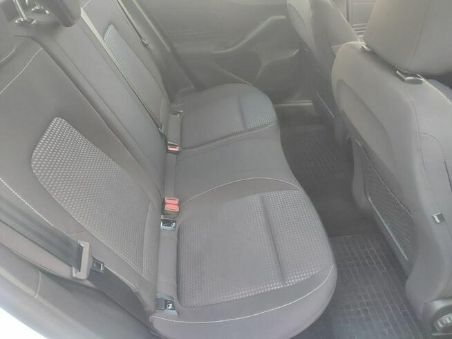 Ford Focus Salon Polska fv23