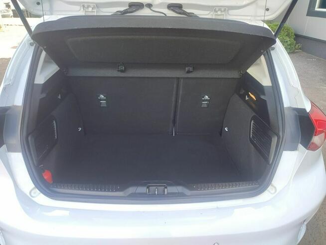 Ford Focus Salon Polska fv23