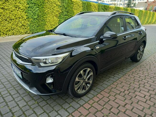 Kia Stonic 1.4Benzyna 100KM Ledy Duża Navi Kamera 100%Bezwypadkowa Bardzo Zadbana