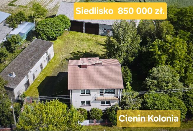 Dom Cienin Kościelny gm. Słupca, Cienista