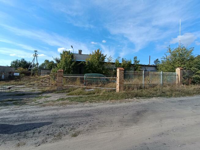 Lokal użytkowy Włocławek, Wieniecka