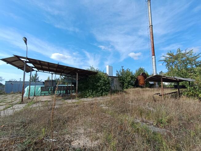 Lokal użytkowy Włocławek, Wieniecka