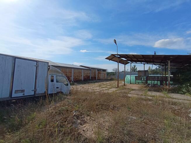 Lokal użytkowy Włocławek, Wieniecka