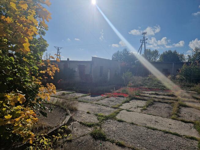 Lokal użytkowy Włocławek, Wieniecka