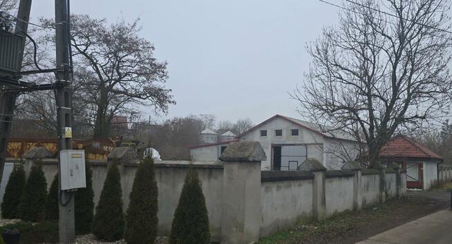 Lokal użytkowy Brześć Kujawski, Adama Mickiewicza