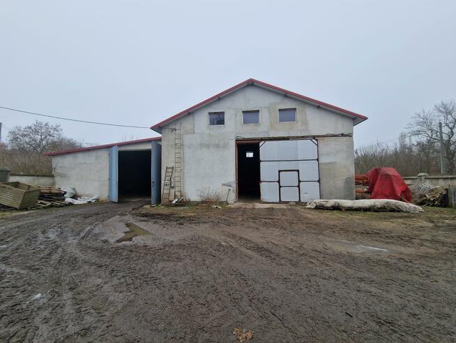 Lokal użytkowy Brześć Kujawski, Adama Mickiewicza