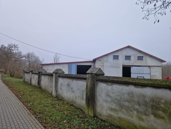 Lokal użytkowy Brześć Kujawski, Adama Mickiewicza