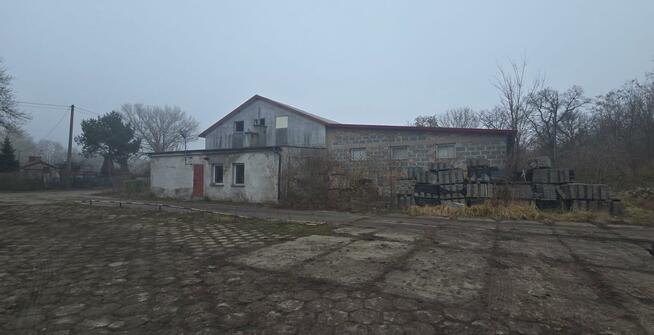 Lokal użytkowy Brześć Kujawski, Adama Mickiewicza