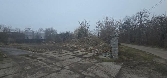 Lokal użytkowy Brześć Kujawski, Adama Mickiewicza