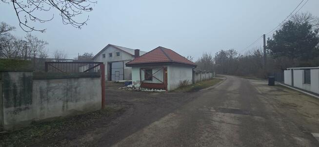 Lokal użytkowy Brześć Kujawski, Adama Mickiewicza