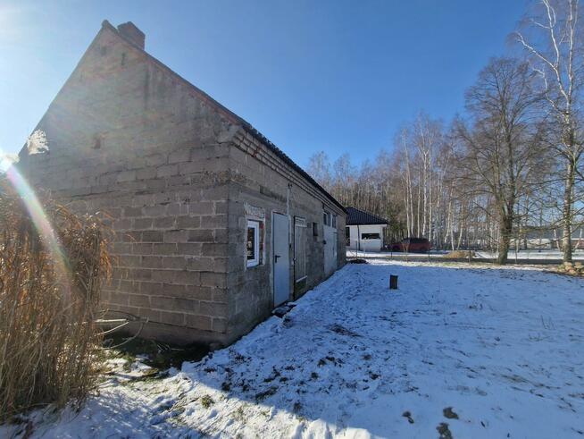 Działka rolna Brzeźniak gm. Golina