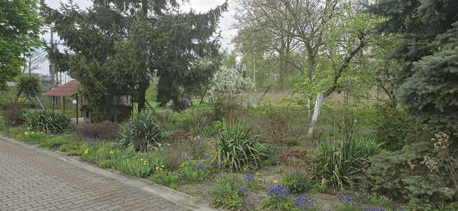 Dom Grochowalsk gm. Dobrzyń nad Wisłą, Grochowa