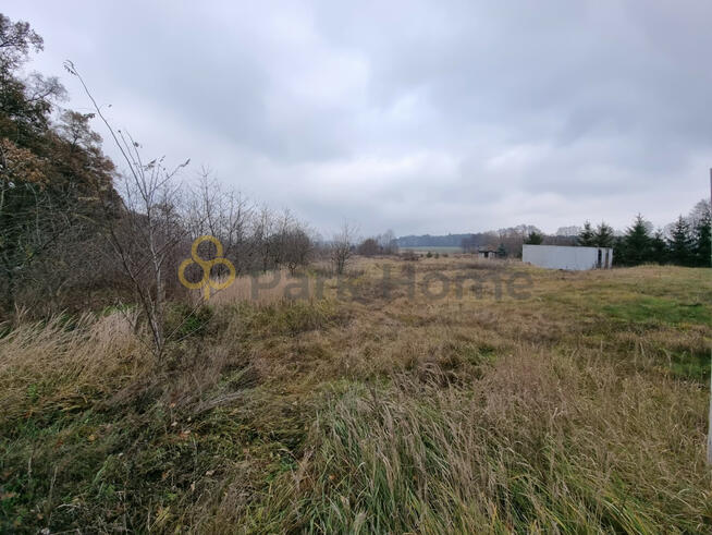 Działka budowlana Kłoda Górowska gm. Góra,